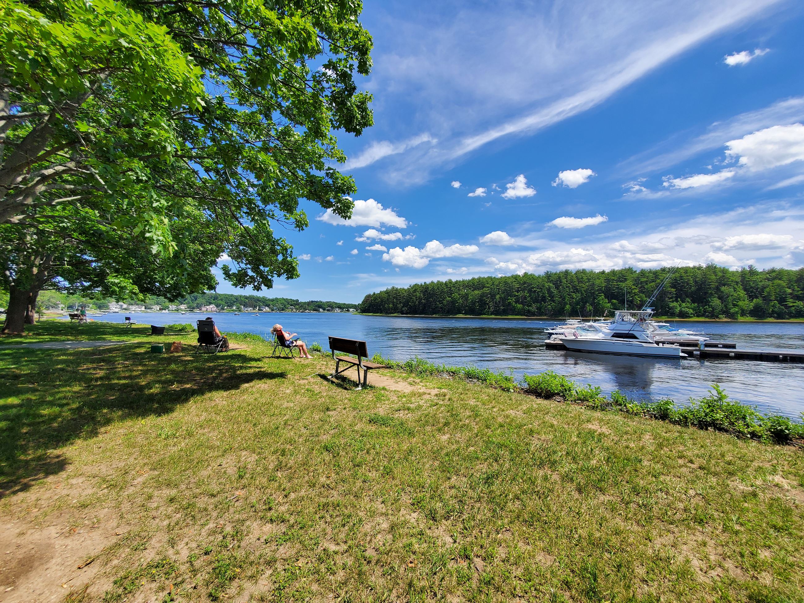 Alliance Park Summer