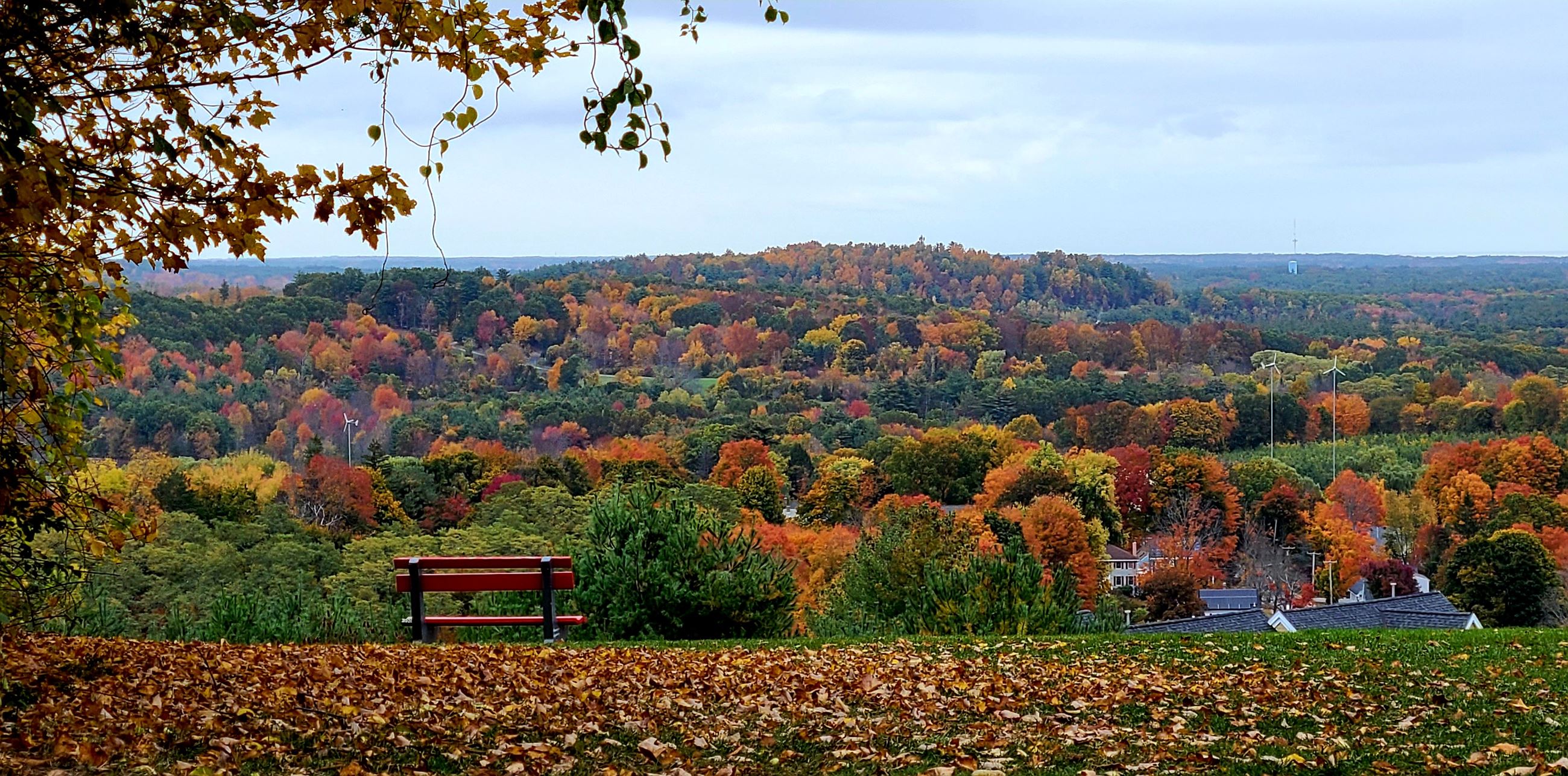 Po Hill Bench - Kimberly Czar