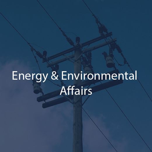 Energy and Environmental Affairs