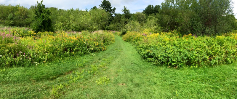 Photo Credit: Ken Aspeslagh