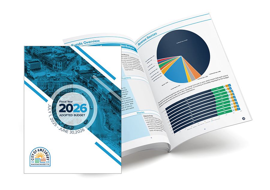 Budget Book Mock up with open pages