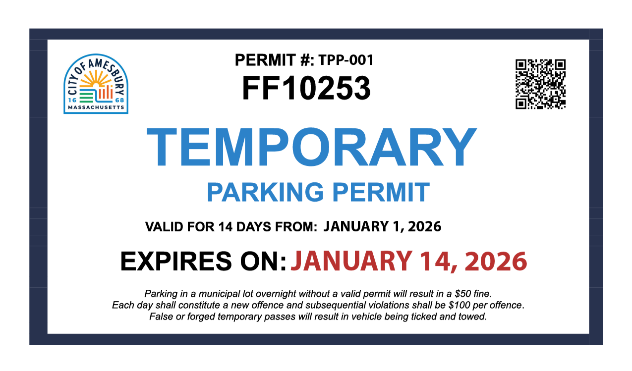 Example of temporary parking permit